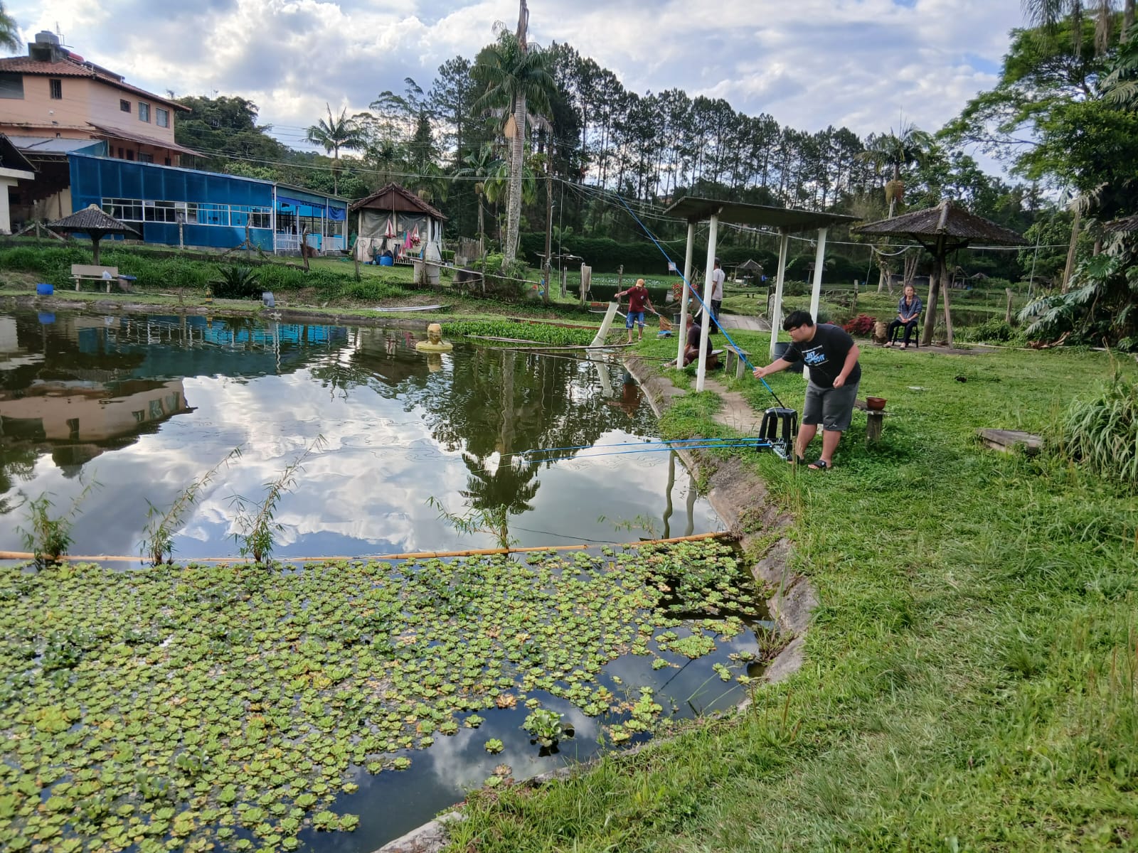 Lagos de tilápias do Pesqueiro Pouso Alegre — foto 1